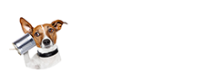 Klose By Logo